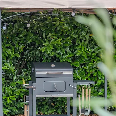 Chique Tiny Wellness Hottub & Sauna *